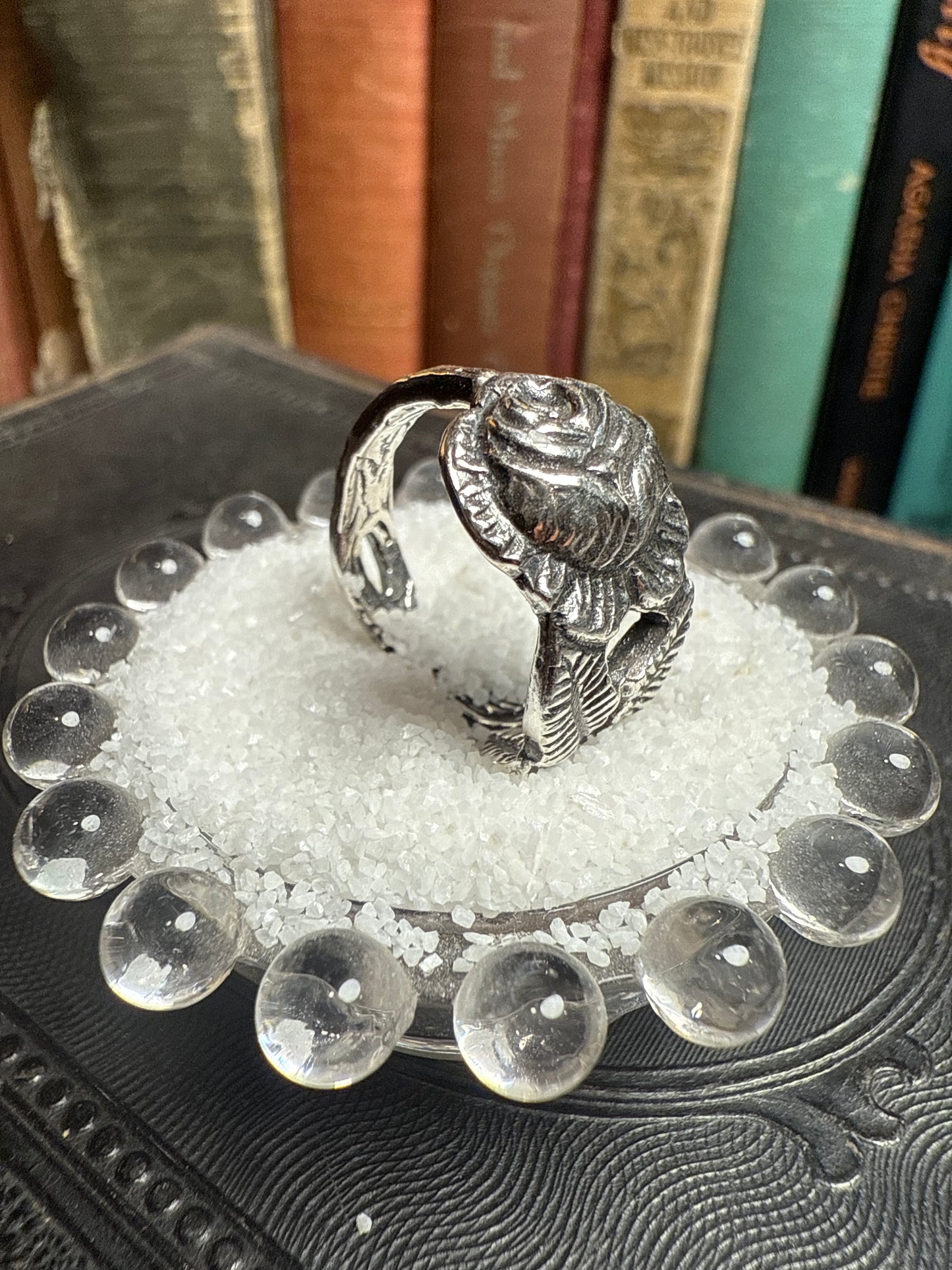 Hildesheimer Rose ￼